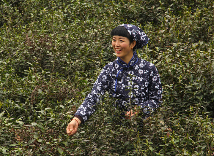 183间房主播跳舞 评分3